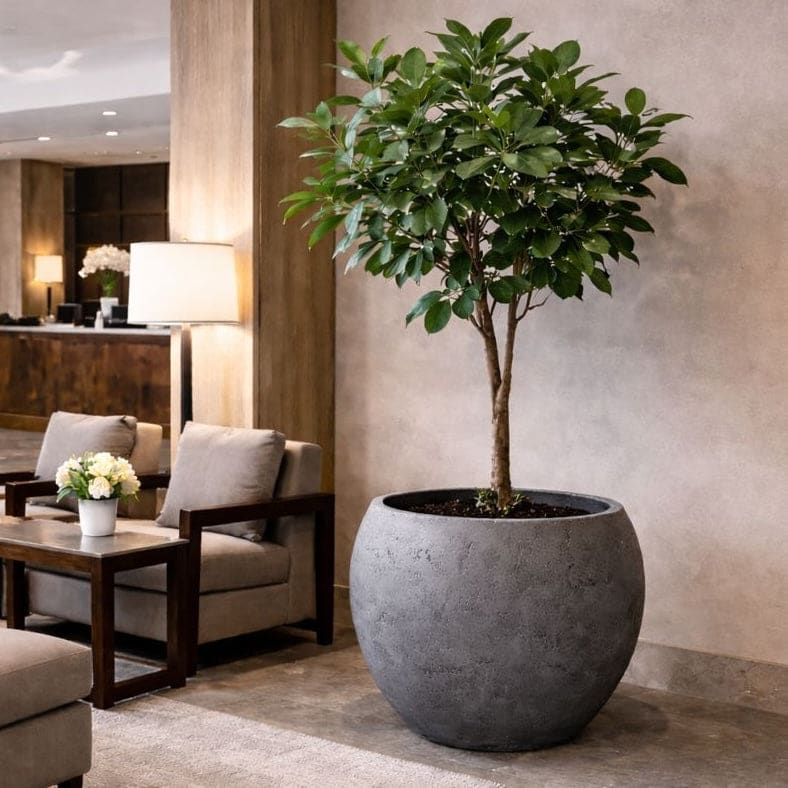 Onyx Dusk XXL Concrete Sphere Planter