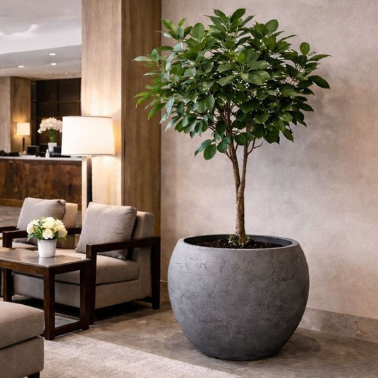 Onyx Dusk XXL Concrete Sphere Planter