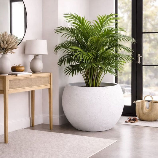 Orbello | White Mist – 70cm Extra Large Concrete Sphere Planter – 207L Round Plant Pot-3